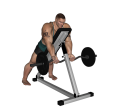 Reverse Row - Incline EZ Bar